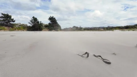 Strong wind blowing sand across a deserted beach landscape Stock Footage 330275032