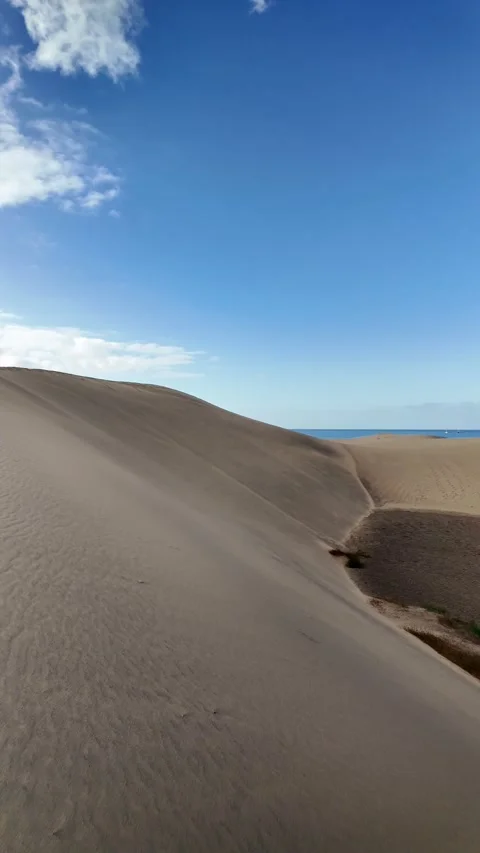 Strong wind blowing sand across desert dunes Stock Footage 346177682