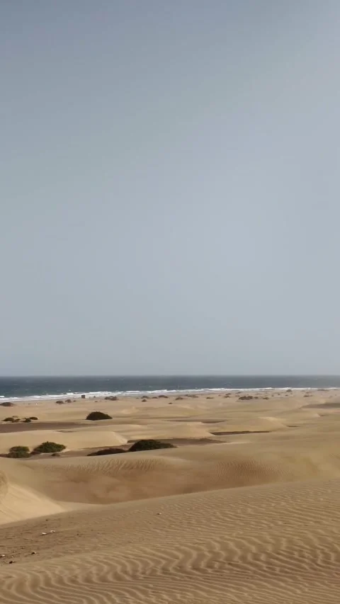 Strong wind blowing sand during a desert sandstorm Video stock 329910454