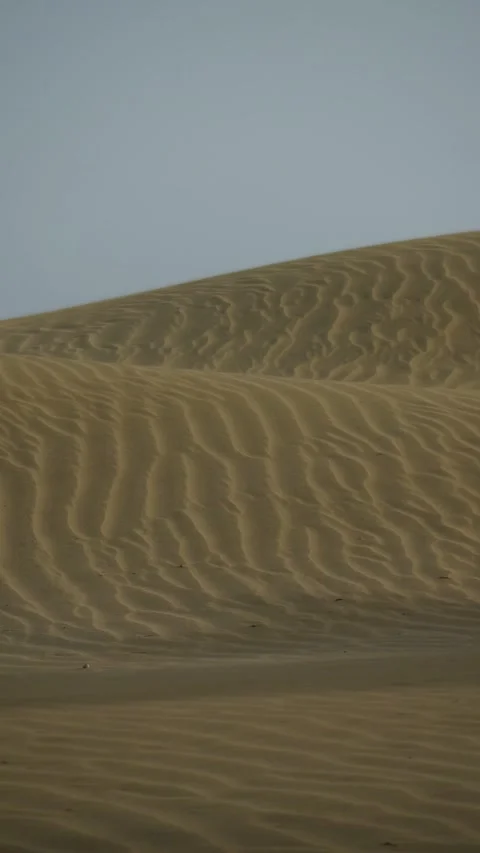 Strong wind blowing sand during a desert sandstorm Vídeos de archivo 330050143