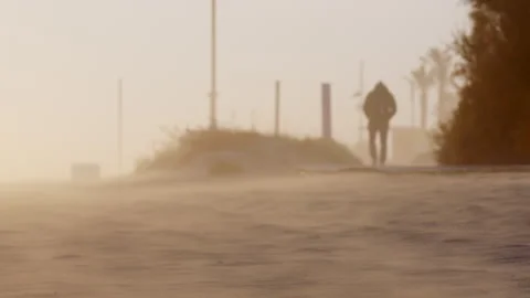 Strong wind blowing sand over barren coastline, partially concealing solitary 스톡 동영상 306689239