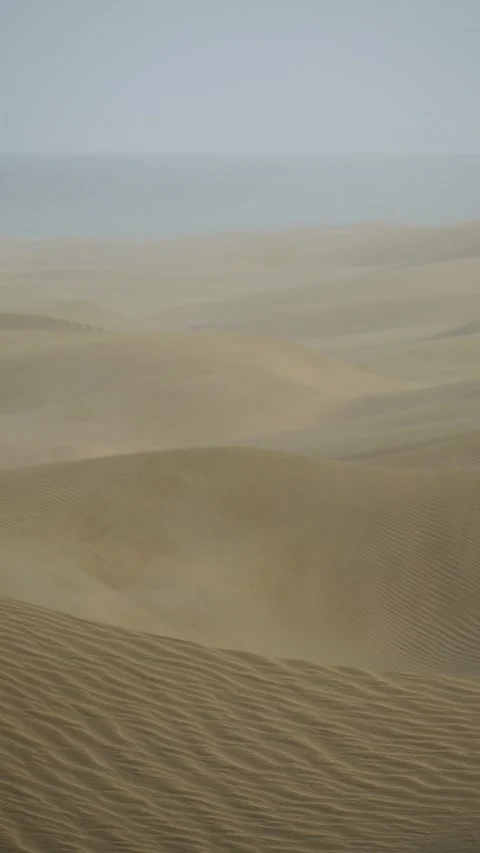 Strong wind blowing sand over desert dunes during a storm Vídeos de archivo 329990335