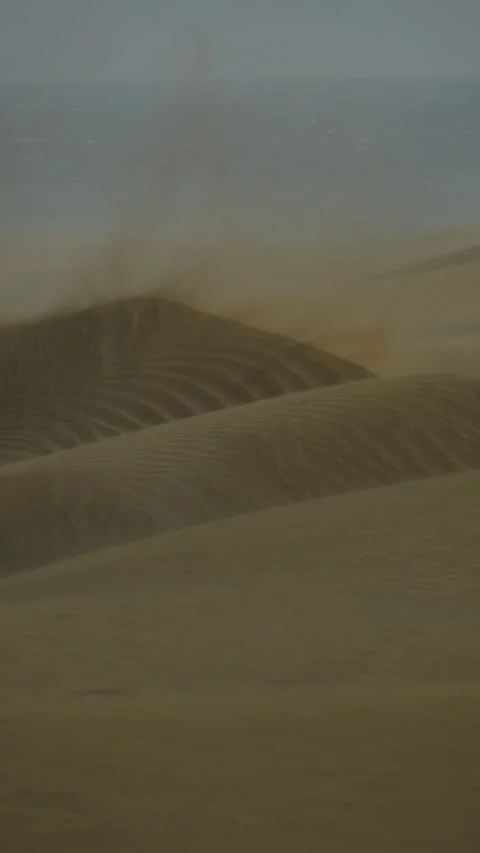 Strong wind blowing sand over dunes during a sandstorm Video stock 330050136