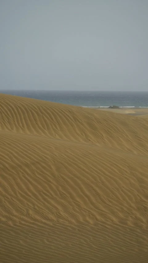 Strong wind blowing sand over dunes during a sandstorm Video stock 330050148