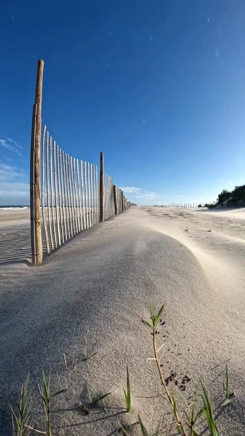 Strong Wind Blowing Sand Over Beach Dune Fence on Ocean Coast Stock Footage 330634255