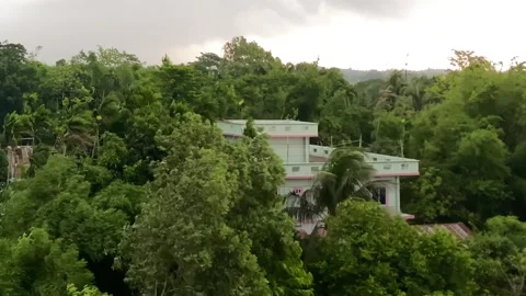 Strong wind blowing through dense trees as storm coming beneath gloomy sky with Stock Footage 345180667