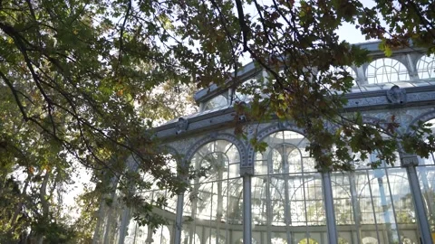 A strong wind blows against the leaves at Glass Palace, the Crystal Palace,Spain Video stock 141483004