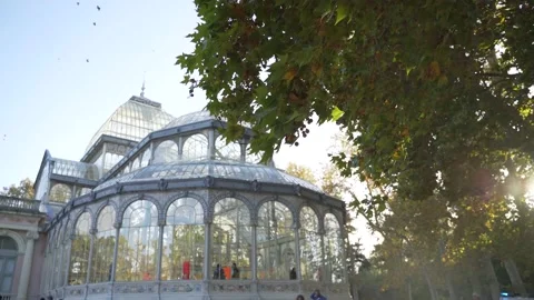 A strong wind blows against the leaves at Glass Palace, the Crystal Palace Video stock 141483032