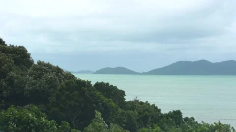 The Strong Wind Blows and Shake the Trees with Sea and Mountain Landscape Stock Footage 141184783