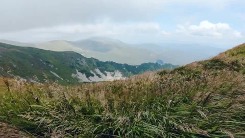 Strong wind blows the grass on the top of the mountain Stock Footage 142383223