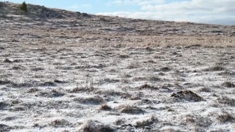 A strong wind blows on the mountain plateau. Frozen land Stock Footage 297008259
