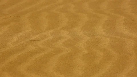 Strong wind blows sand in sandy desert Stock Footage 158421674