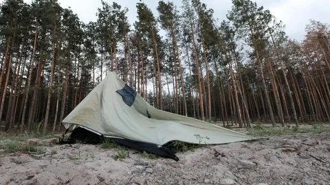 Strong wind blows on the tent and the forest Stock Footage 77623704