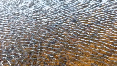 Strong wind causing ripples on the lake in slow motion Video stock 123347616