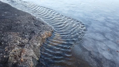 Strong wind causing ripples on the lake shore Stock Footage 123348900