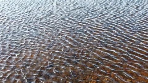 Strong wind causing ripples on the lake in slow motion Stock Footage 123349049