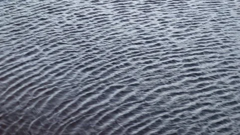 Strong wind causing ripples on the water surface 스톡 동영상 325185463
