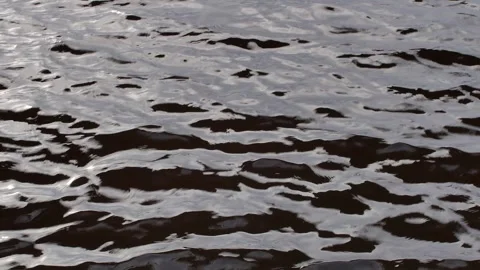 Strong wind causing ripples on the water surface 库存影片 331119927