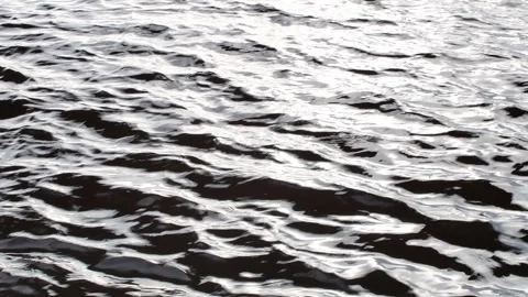 Strong wind causing ripples on the water surface Vídeos de archivo 331119964