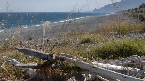 Strong wind day in Spring Stock Footage 110905844