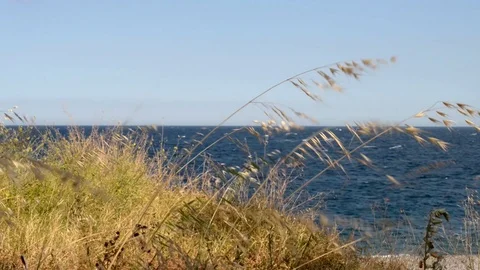 Strong wind day in Spring on the sea Stock Footage 110905572