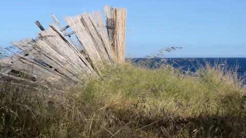 Strong wind day in Spring on the sea Video stock 110905654
