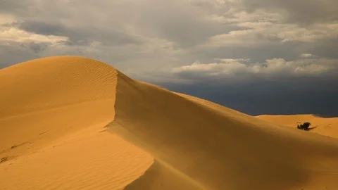 Strong wind in the desert. Sand blows from the dunes 動画素材 113131785