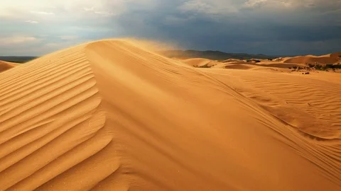 Strong wind in the desert. Sand blows from the dunes Vídeos de archivo 123774077