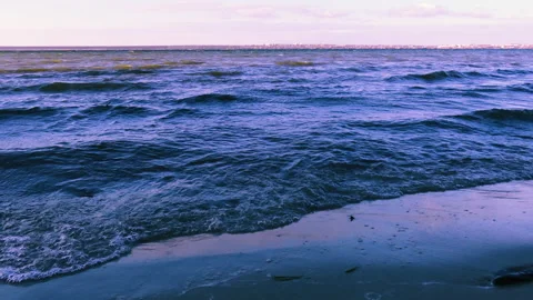 Strong wind driven waves on the river, 4k video, footage Stock Footage 169313711