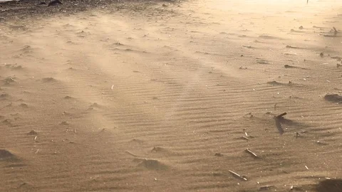 Strong Wind Drives The Sand On The Windy Evening On The Coast Stock-Footage 111418428