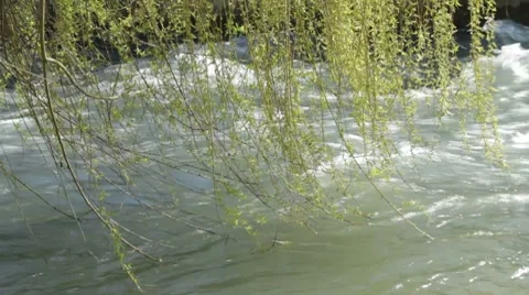 Strong wind drove the water downstream Stock Footage 7740768