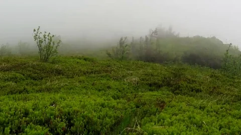 Strong wind with fog on the mountain Stock Footage 69084247