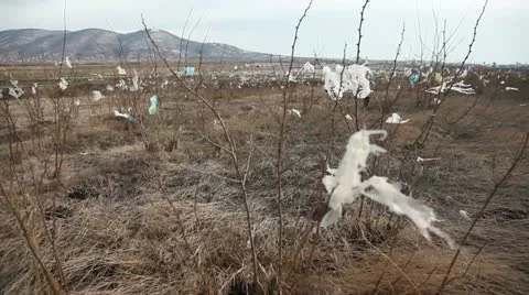 Strong wind Stockbeeldmateriaal 22118567