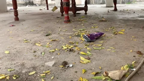 Strong wind Video stock 156964538