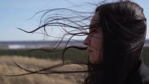 Strong wind Stock Footage 175065608