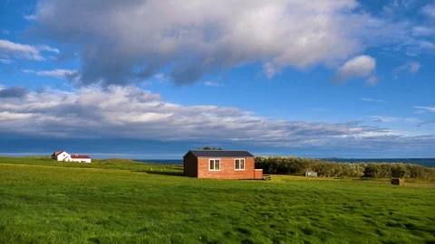 Strong wind on the grass Stock Footage 124267341
