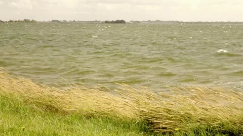 Strong wind on the Grevelingen Stock Footage 252177659