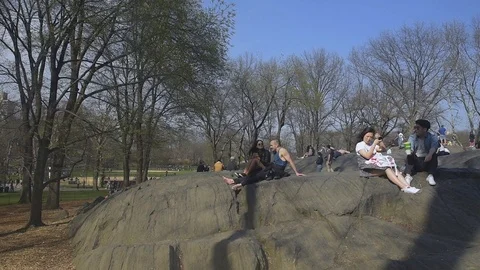 Strong Wind Gust on Umpire Rock in Central Park Stock Footage 89305328