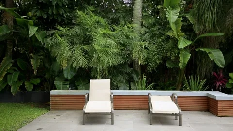 Strong wind gusts blowing tree and plant leaves behind two 2 lounge chairs Stock Footage 136470878
