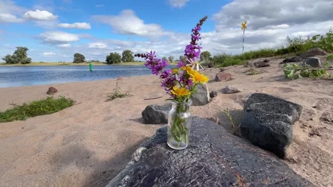 Strong Wind Knocks Over Wildflower Bouquet on Riverside Rock Stock Footage 341462738