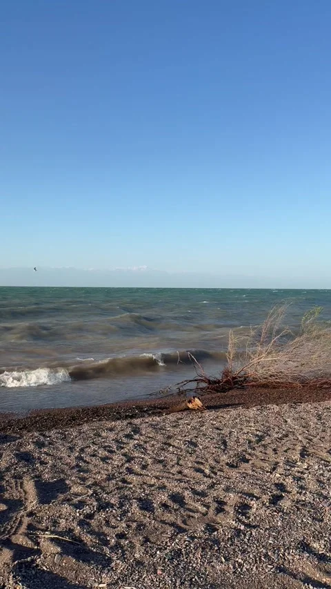 Strong Wind on Lake Beach with Flying Seagull and Rapid Camera Movement Stock Footage 338153899