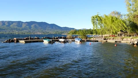 Strong wind at the lake, with blurred trees motion and waves on the water, w Stock Footage 156516815