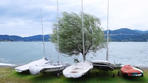 Strong wind on the lake Maggiore Video stock 79804005