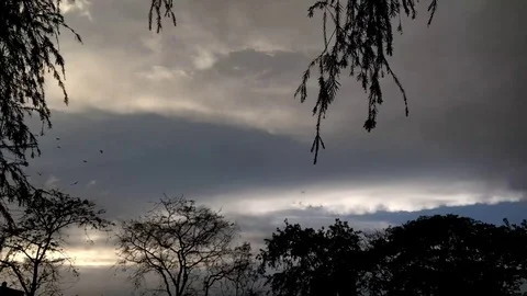 Strong wind with monsoon cloud and trees Stock Footage 88314977