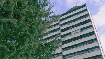 The strong wind moves the branches of the pine Stockbeeldmateriaal 85852879