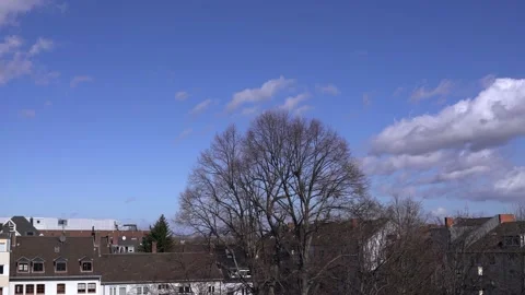Strong wind moving bare trees with white clouds and blue sky Stock Footage 150187444