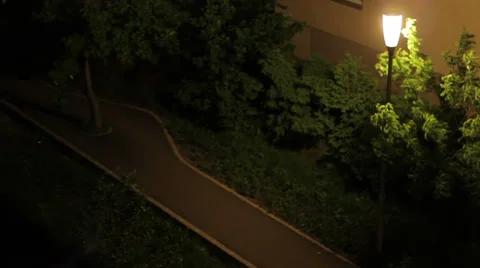 Strong Wind at Night Stock Footage 39619045