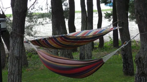  Strong wind ruffles a hammock 库存影片 115986990