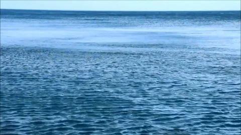 Strong wind at sea Stock Footage