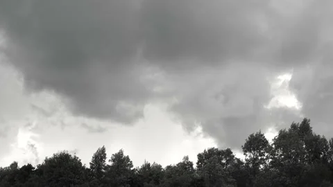 The strong wind shake trees, dark grey cloud cover before the rain Stock Footage 141184249